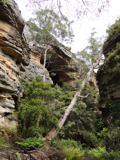  - Gang Gang Playground