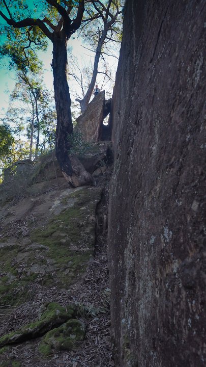 - Petries Slots Pass