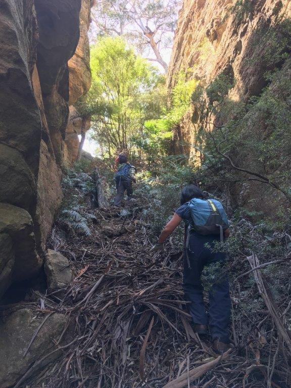 - Capertee Creek Defile