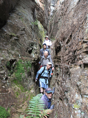 Walkers in Honeycomb Canyon
