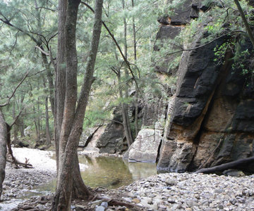 Coco Creek