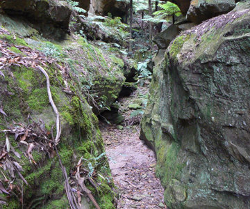 Small Koopartoo Canyon