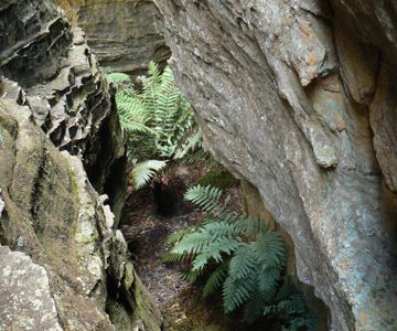 Honeycomb Canyon