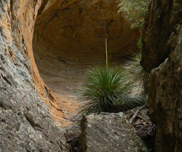 Michelangelo Cave