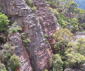 Terrace Canyon