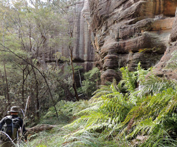 Paul Barton leads the charge along the base of the cliff line