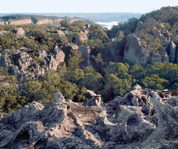 Ben Bullen State Forest