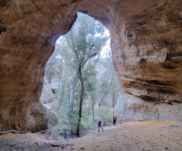 Cave