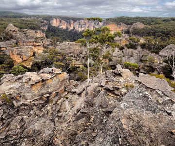 Ridges above the Wolgan River