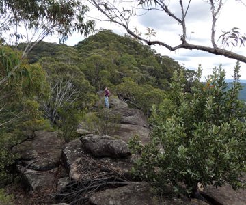 Kariwoga Ridge