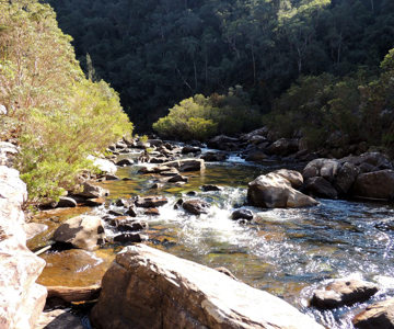 Rapids