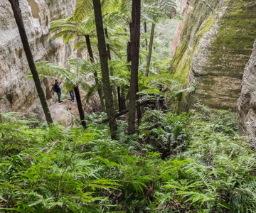 The Valley of the Dinosaurs - Photo: Chris Sterling