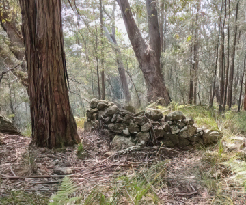 Ruined Castle Mines