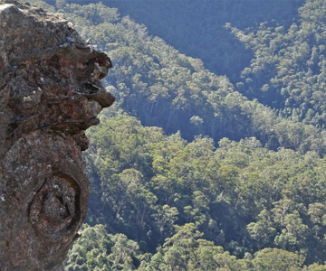 Narrow Neck