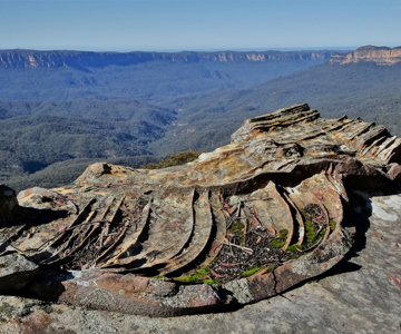 Narrow Neck
