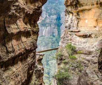 Waterboard Ladders on Narrow Neck