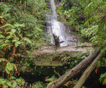Mitchell Creek Falls