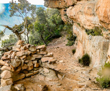 Narrow Neck