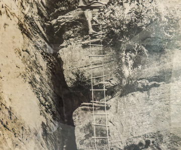 Dicksons Ladders