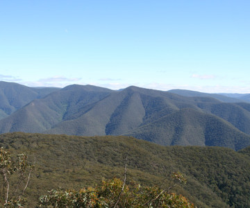 The Krungle Bungle Range