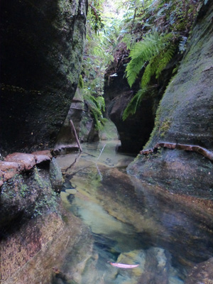 Yileen Canyon pool