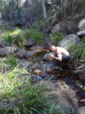 Rodney foraging for edible Mat Rushes in Wilpen Creek