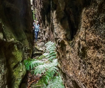 Barton Pass