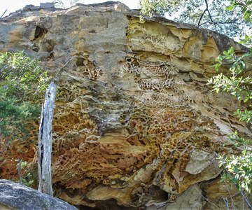 Bewildering Cave