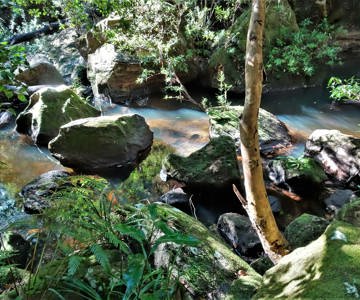 Blackwater Creek