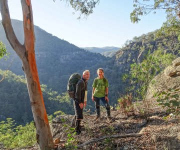 Lookout above Martindale Creek