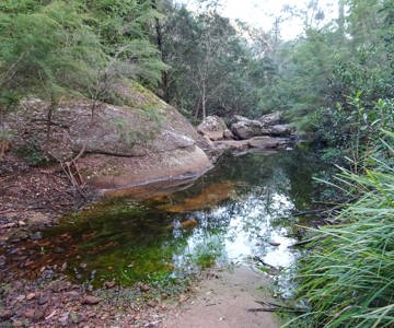 Martindale Creek