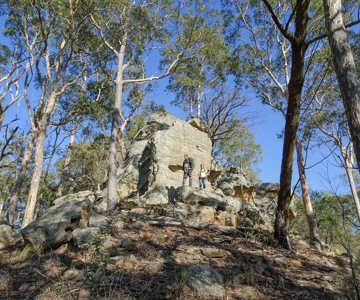 Near Mount Whybrow