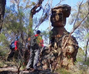 Wollemi Wilderness Adventures